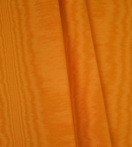 Galatee Fabric by Casal Narcisse