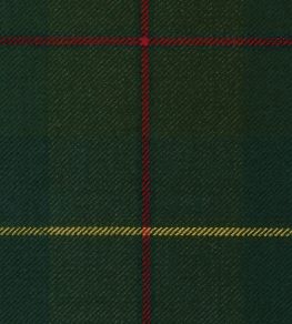 Galloway Green Mtd Fabric by The Isle Mill Green