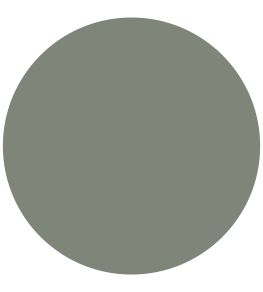 Gardenia Green Active Emulsion Paint by Sanderson Gardenia Green