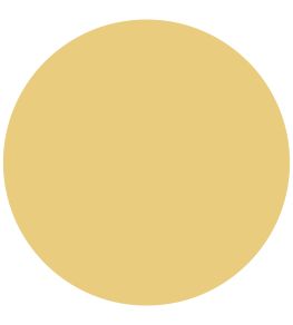 Gloriana 1829 Chalky Emulsion Paint by Craig & Rose Gloriana
