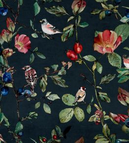 Goldfinch Song Wallpaper by Coordonne Night