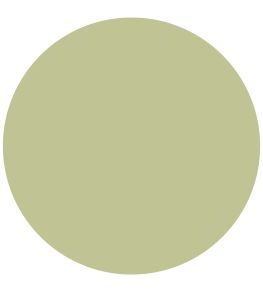Green Almond Water-Based Eggshell Paint by Sanderson Green Almond