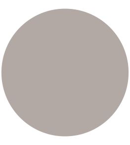 Grisaille 1829 Gloss Paint by Craig & Rose Grisaille