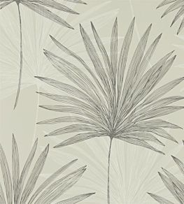 Mitende Wallpaper by Harlequin Pewter/Chalk