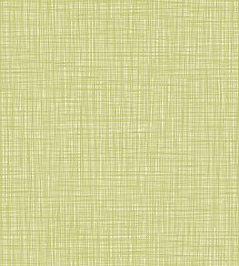 Scribble Wallpaper by Orla Kiely 428