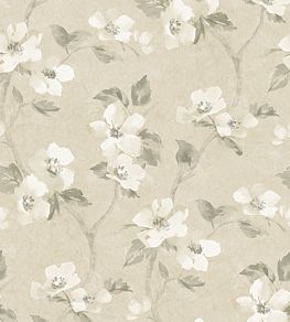 Helen's Flower Wallpaper by Borastapeter 84
