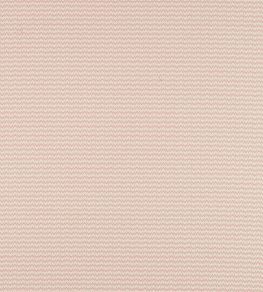Herring Fabric by Sanderson Blush