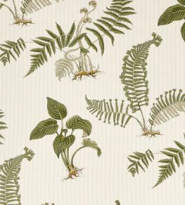 Hosta & Fern Fabric by Sanderson Olivine