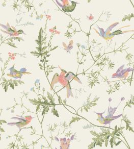 Hummingbirds Wallpaper by Cole & Son Soft Multi, Olive Green on White