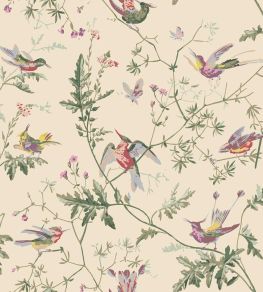 Hummingbirds Wallpaper by Cole & Son Classic Multi & Old Olive on Cream