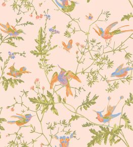 Hummingbirds Wallpaper by Cole & Son Tangerine & Olive on Blush