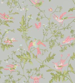 Hummingbirds Wallpaper by Cole & Son Rose & Olive on Grey