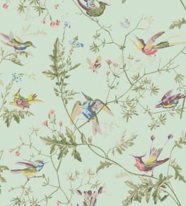 Hummingbirds Wallpaper by Cole & Son Multi, Old Olive on Duck Egg Mica