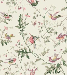 Hummingbirds Cotton Fabric by Cole & Son Classic Multi & Old Olive on Cream