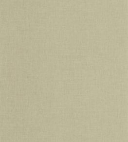 Hygge Uni Wallpaper by Caselio Vert Lichen
