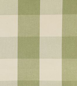 Avon Check Fabric by Ian Mankin Sage