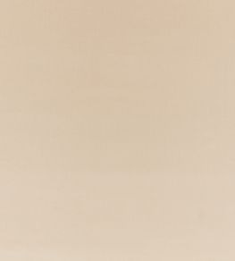 Ice II Fabric by Kirkby Design Buff