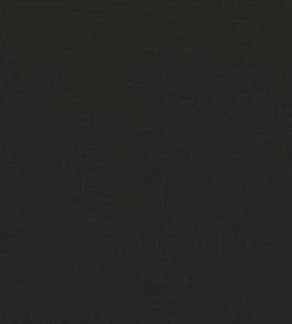 Ice II Fabric by Kirkby Design Carbon