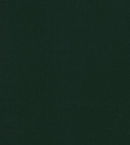 Ice II Fabric by Kirkby Design Evergreen