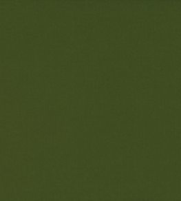 Ice II Fabric by Kirkby Design Olive