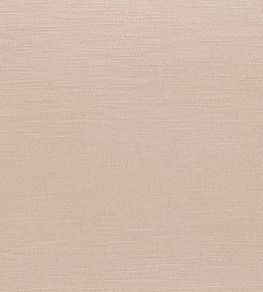 Ilana Fabric by Black Edition Blush