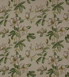 Imogen Fabric by Colefax and Fowler Ivory/Green