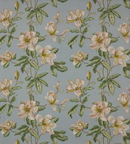 Imogen Fabric by Colefax and Fowler Sky Blue