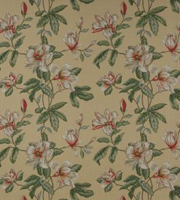 Imogen Fabric by Colefax and Fowler Yellow