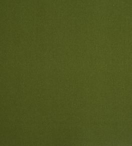 Ingleton Fabric by Prestigious Textiles Grass