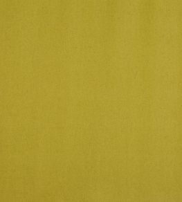 Ingleton Fabric by Prestigious Textiles Lime