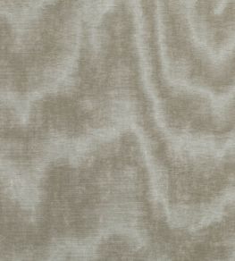 Jacopo Fabric by Zinc Buff