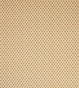 Rydall Fabric by Jane Churchill Burnt Orange