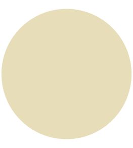 Jasper Yellow 1829 Chalky Emulsion Paint by Craig & Rose Jasper Yellow