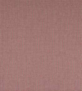 Jay Check Fabric by Colefax and Fowler Pink