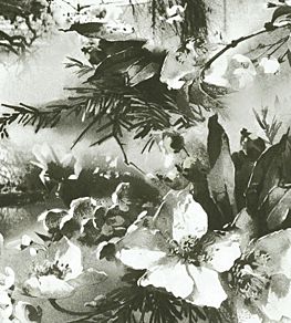 Brume Wallpaper by Jean Paul Gaultier Ecru / Noir