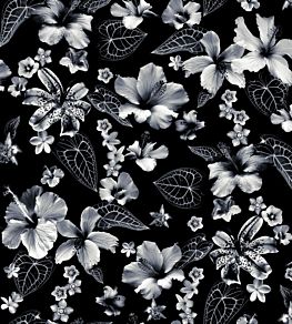 Cariacou Wallpaper by Jean Paul Gaultier Noir