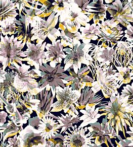 Grenada Wallpaper by Jean Paul Gaultier Pastel