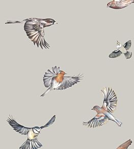 Early Bird Wallpaper by Juliet Travers 1