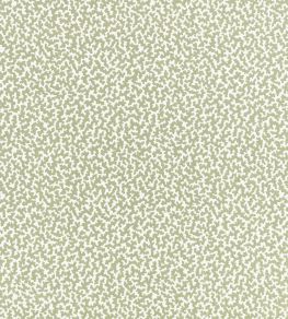 Junie Wallpaper by Romo Aloe