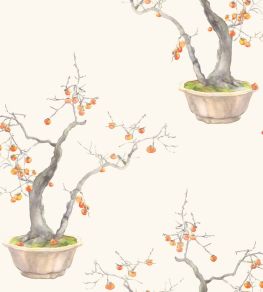 Kaki Persimmon Wallpaper by Cole & Son Ivory & Bergamot