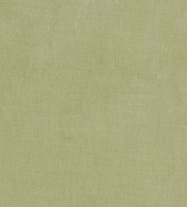 Kauri Fabric by Camengo Olive