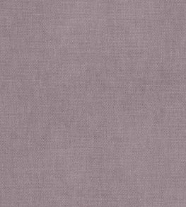 Kauri Fabric by Camengo Vigne
