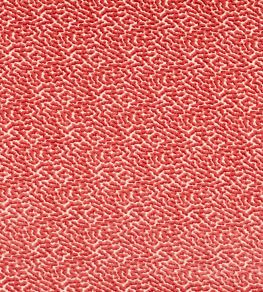 Kemble Fabric by Colefax and Fowler Coral