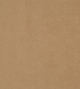 Kensington Fabric by Prestigious Textiles Cappucino