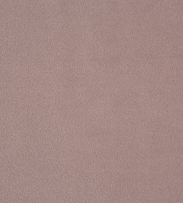 Kensington Fabric by Prestigious Textiles Lavender