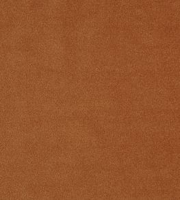 Kensington Fabric by Prestigious Textiles Nectarine