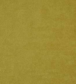 Kensington Fabric by Prestigious Textiles Olive