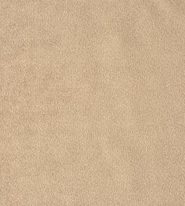 Kensington Fabric by Prestigious Textiles Parchment