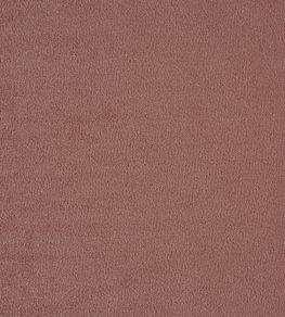 Kensington Fabric by Prestigious Textiles Rose