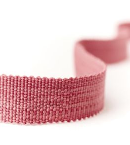Kirklington Strie Braid Trimming by Sanderson Rose